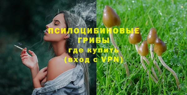 герыч Зеленодольск