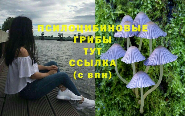 экстази Зеленокумск
